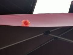 -BUND·FIVE外滩5号(天际店)