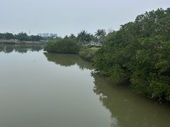 -万绿园
