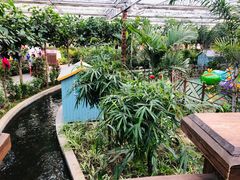 -南宫五洲植物乐园