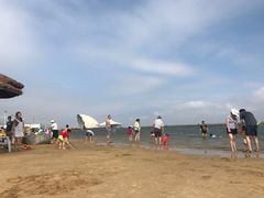 -碧海金沙
