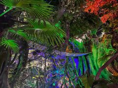 -泉城欧乐堡海洋极地世界