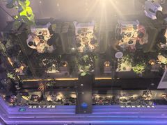-桂满陇·杭州小馆(朝阳合生汇店)