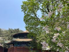 -潭柘寺景区
