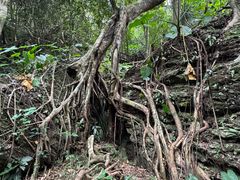 -七仙岭温泉国家森林公园