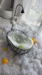 -玛瑞莎·儿童·亲子摄影(越秀店)