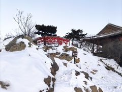 -香山公园
