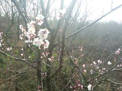 -雪山彩虹谷景区