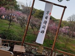 -无锡梅园公园