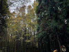 -山王坪喀斯特国家生态公园