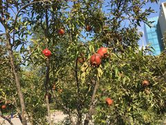 -长安大学(北校区)