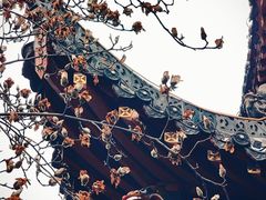 -长春观