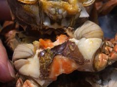 -徐记手切鲜羊肉(辽沈二街店)