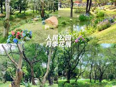 -人民公园(罗湖区)