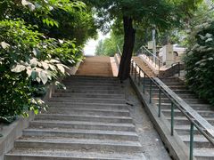 -风车面包