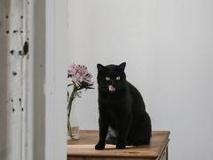 -春风十里咖啡馆