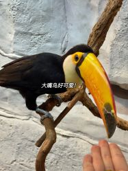 -Zoolung Zoolung动物主题公园(海信广场店)