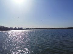 -丁香湖公园
