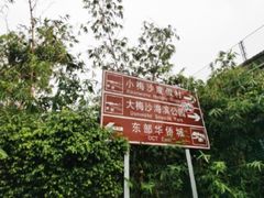 -东部华侨城