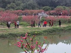 -南国桃园旅游度假区