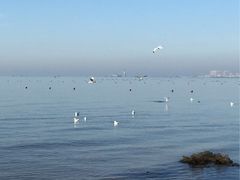 -南戴河国际娱乐中心