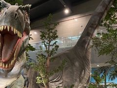 -湖南省地质博物馆