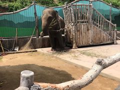 -大连森林动物园