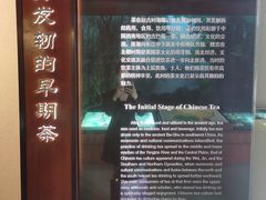-中国茶叶博物馆(双峰馆区)