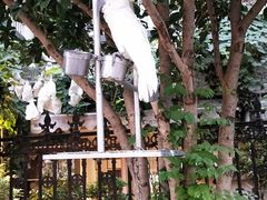 -东伊顺(高银街店)