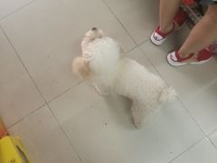 -天兴居(大兴店)