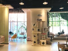 -藏猫猫咖啡主题馆(中央大道店)