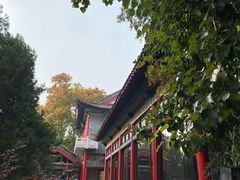 -明湖楼·经典鲁菜(大明湖店)