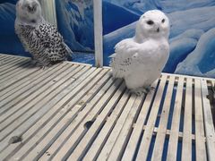 -成都浩海立方海洋公园