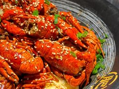 -肥肥虾庄·金牌油焖大虾(沙湖店)