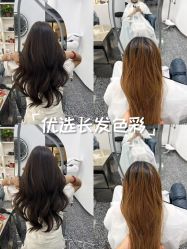 -飞梵造型