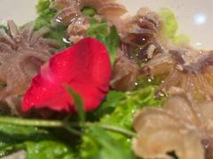 -渝香居重庆火锅(铁西三道街店)