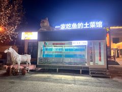 -向外鱼乐·土菜·虹鳟鱼