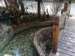 -月亮眼花园餐厅书吧酒吧