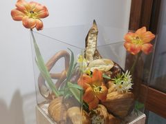 -侘寂甜品(自取店)