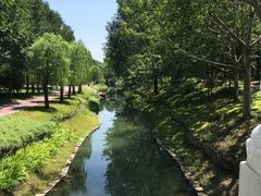 -北坞公园