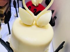 -BLACKSWAN黑天鹅(环球店)