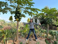 -西双版纳勐泐文化旅游区