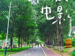 -长白岛森林公园