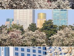 -人民广场