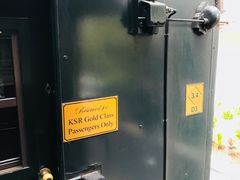 -热带雨林自然公园