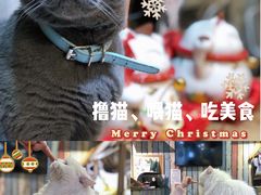 -小时光咖啡馆(开森度假森林店)