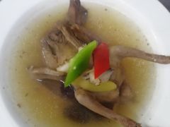 -鲸育宝宝月嫂(徐汇店)