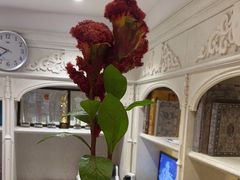 -大鸭梨烤鸭(左家庄店)