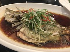 -小龙酒家(桂平路店)