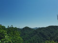 -南山植物园