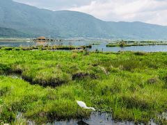 -腾冲北海湿地